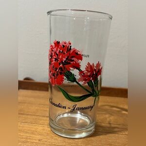 Vintage Brockway Flower Of The Month January Carnation Drinking Glass Tumble